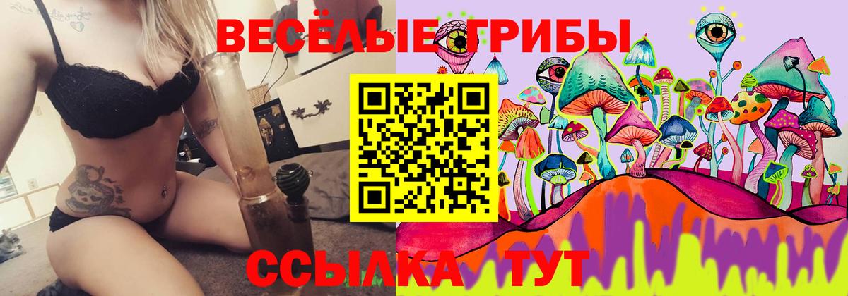 Асино  Галлюциногенные грибы мицелий  Галлюциногенные грибы мицелий  Вход с VPN 